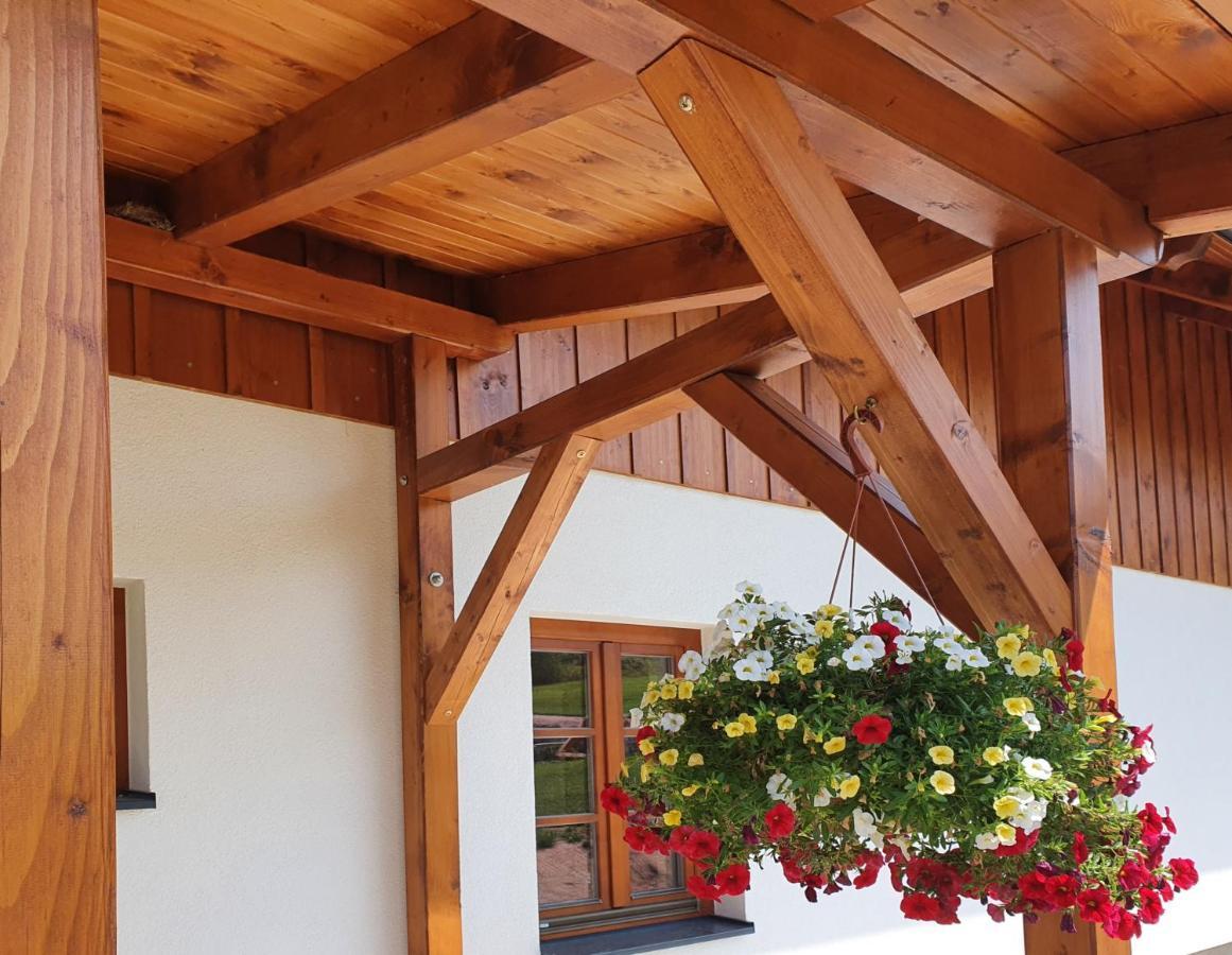 Penzion Stříbrník Krásná Exterior foto