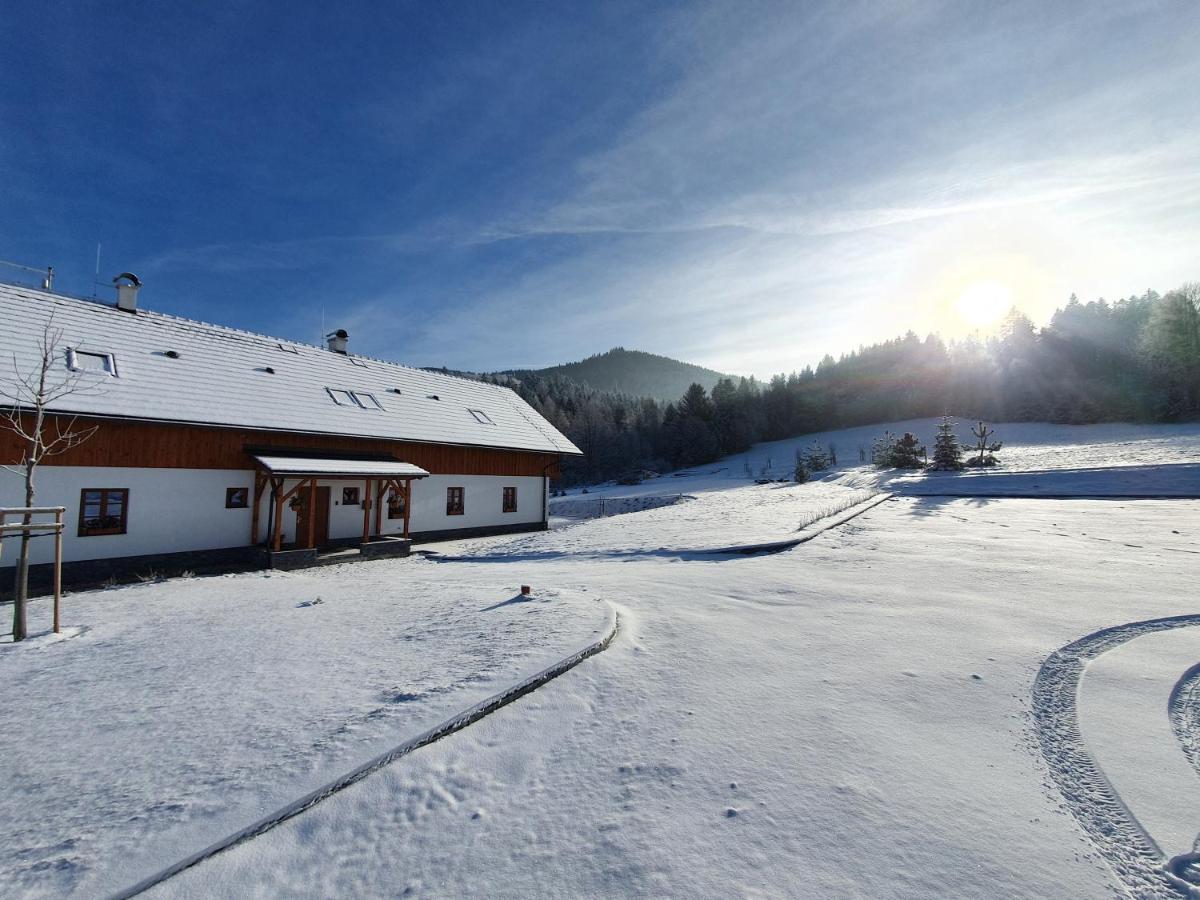 Penzion Stříbrník Krásná Exterior foto